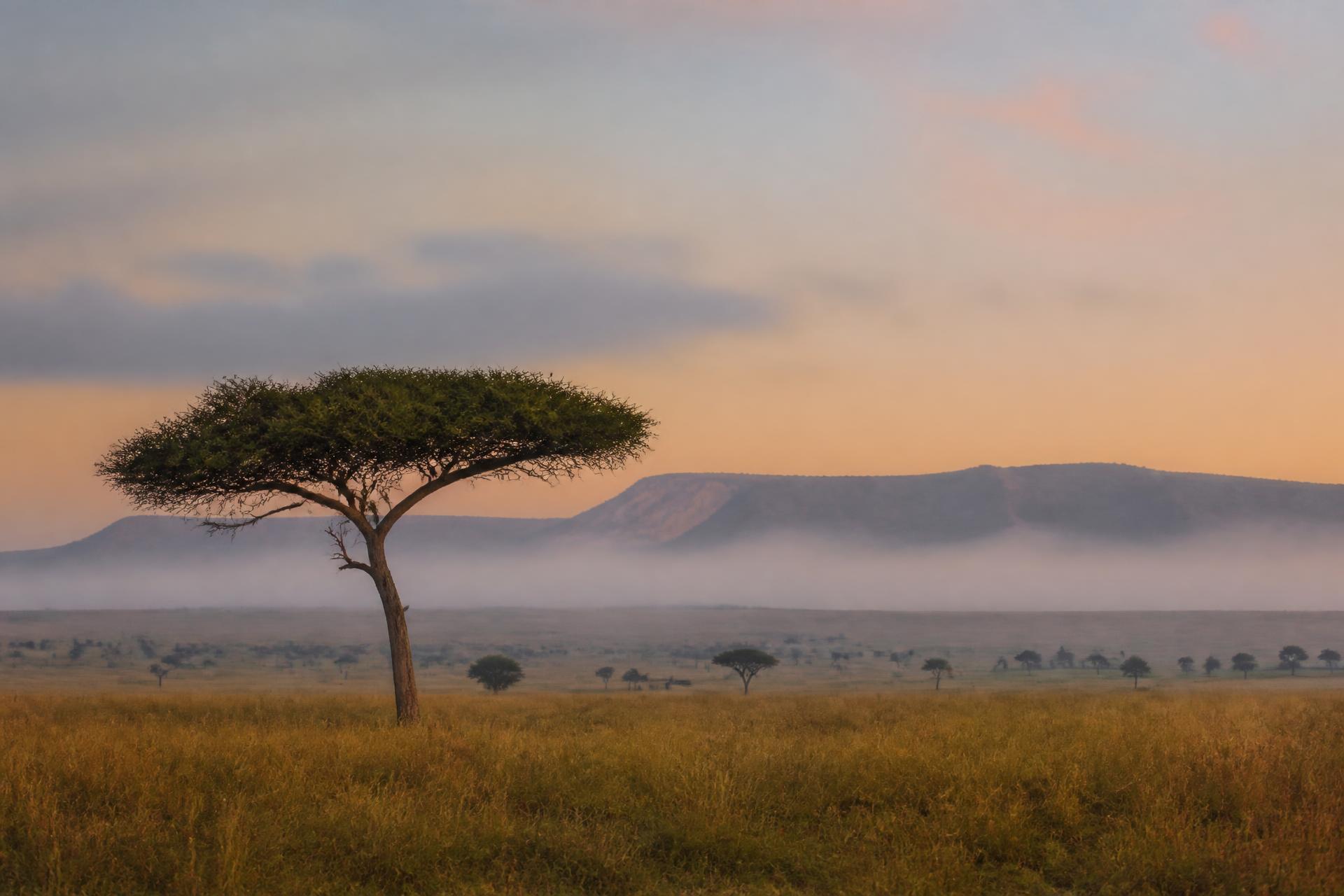 ol Donyo Lodge — Chyulu Hills / Amboseli. Neutral placeholder image.