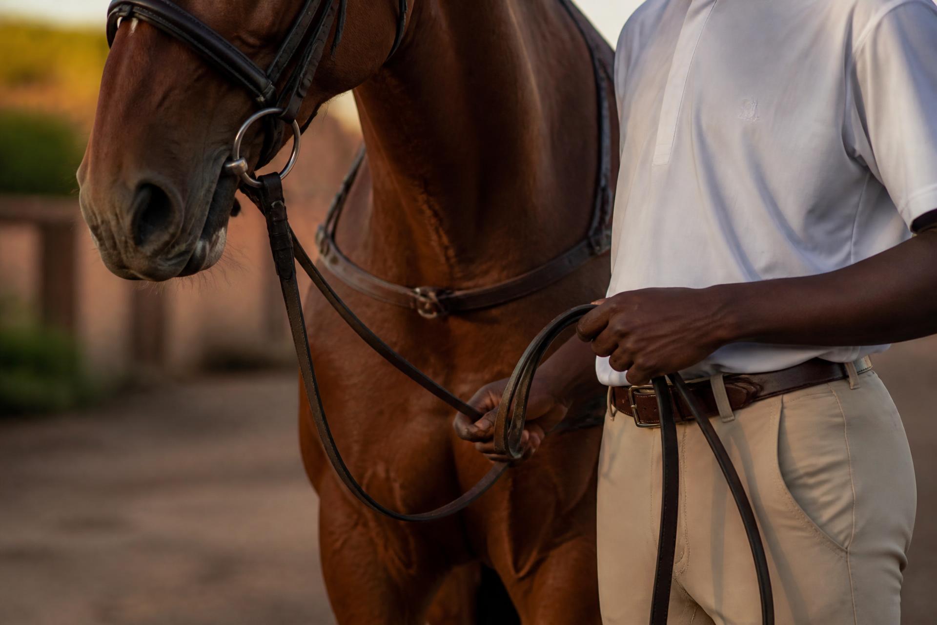 Sosian Lodge — Laikipia. Neutral placeholder image.